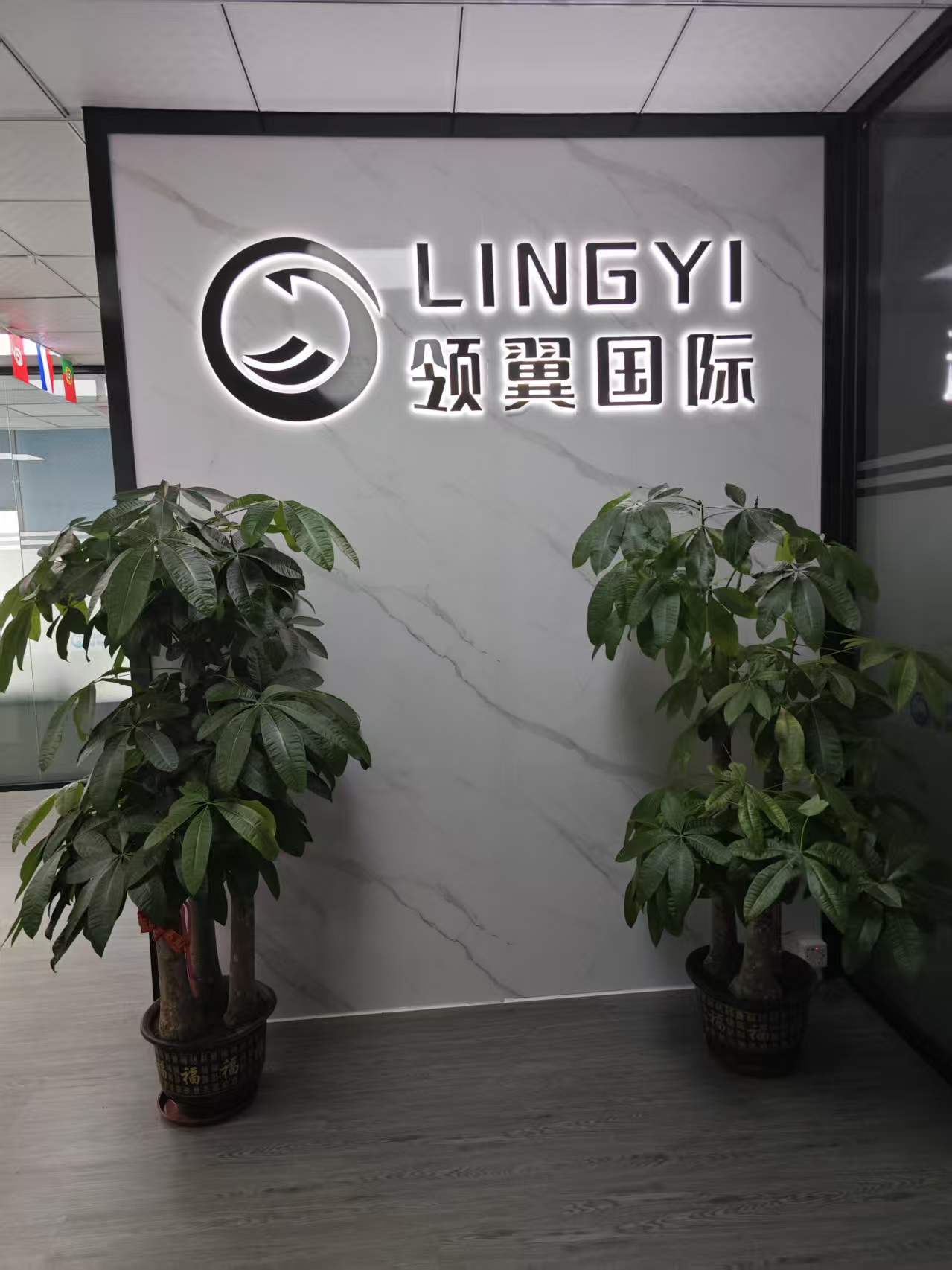 深圳市领翼国际货运代理有限公司