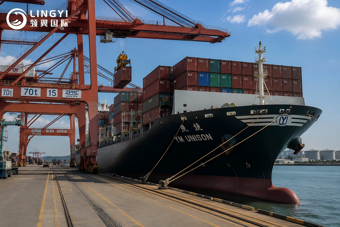 Sea Freight | FCL(20GP 40HQ 20FR) | DDP Shipping | Oversized Cargo | China to Mexico