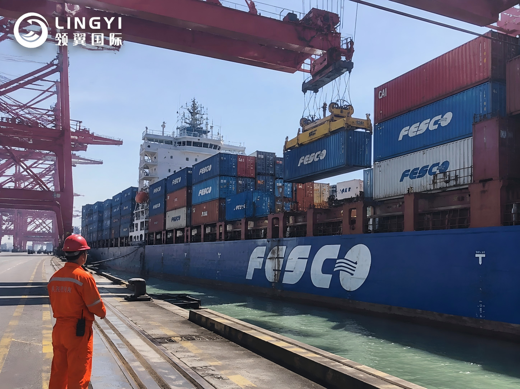 FCL(20GP 40HQ 45HC) | Sea Freight | UN3480 | DDP Shipping | Belgium,Europe 
