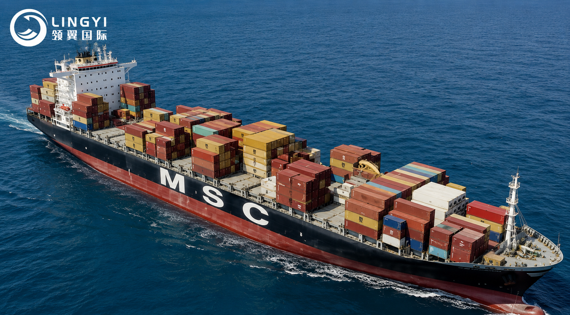 Brazil DDP Sea Freight from China | FCL Shipping with Customs Clearance