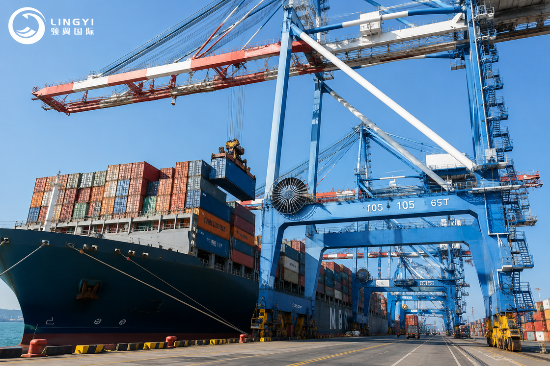 Destination Storage Ocean Freight Companies With FOB EXW CIF DDU DDP Trading Terms 