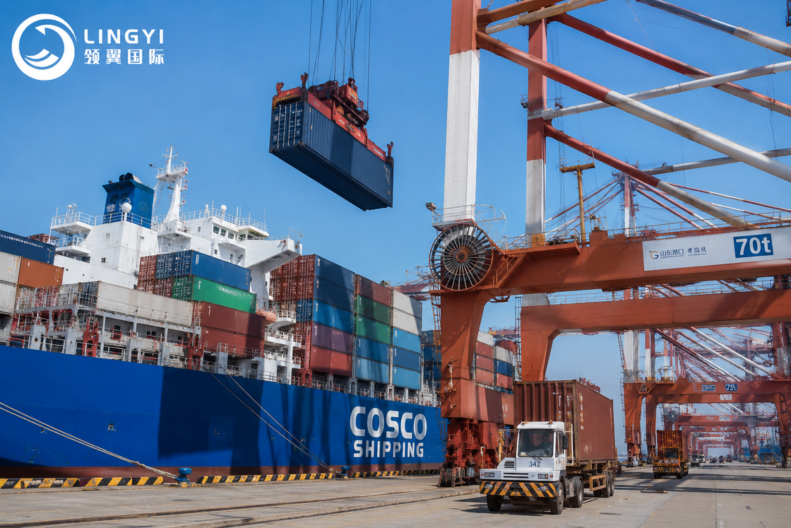 Door To Door Ddp Sea Freight With Destination Storage In 30 Days Shipment Dispatch Time