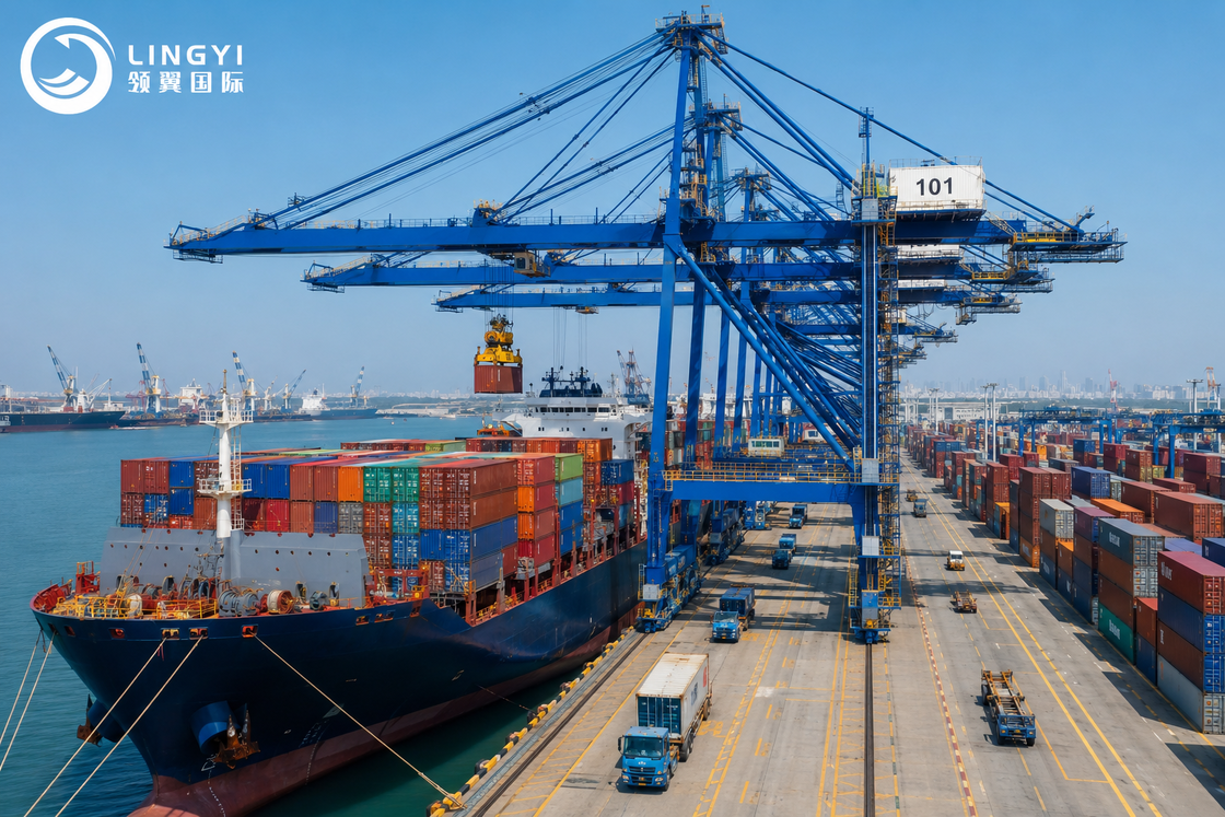 All Lines Logistics DDP Sea Shipping With Professional Tracking Service for UK