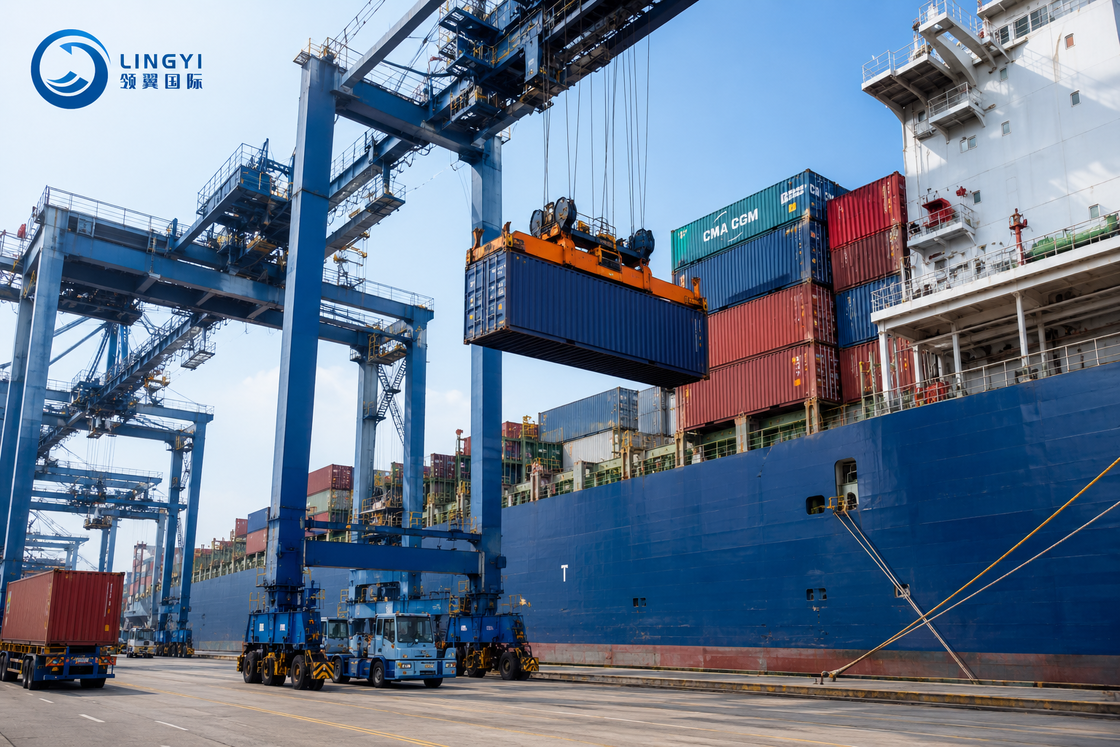 International Special Goods DDP Sea Shipping With Origin Storage Service