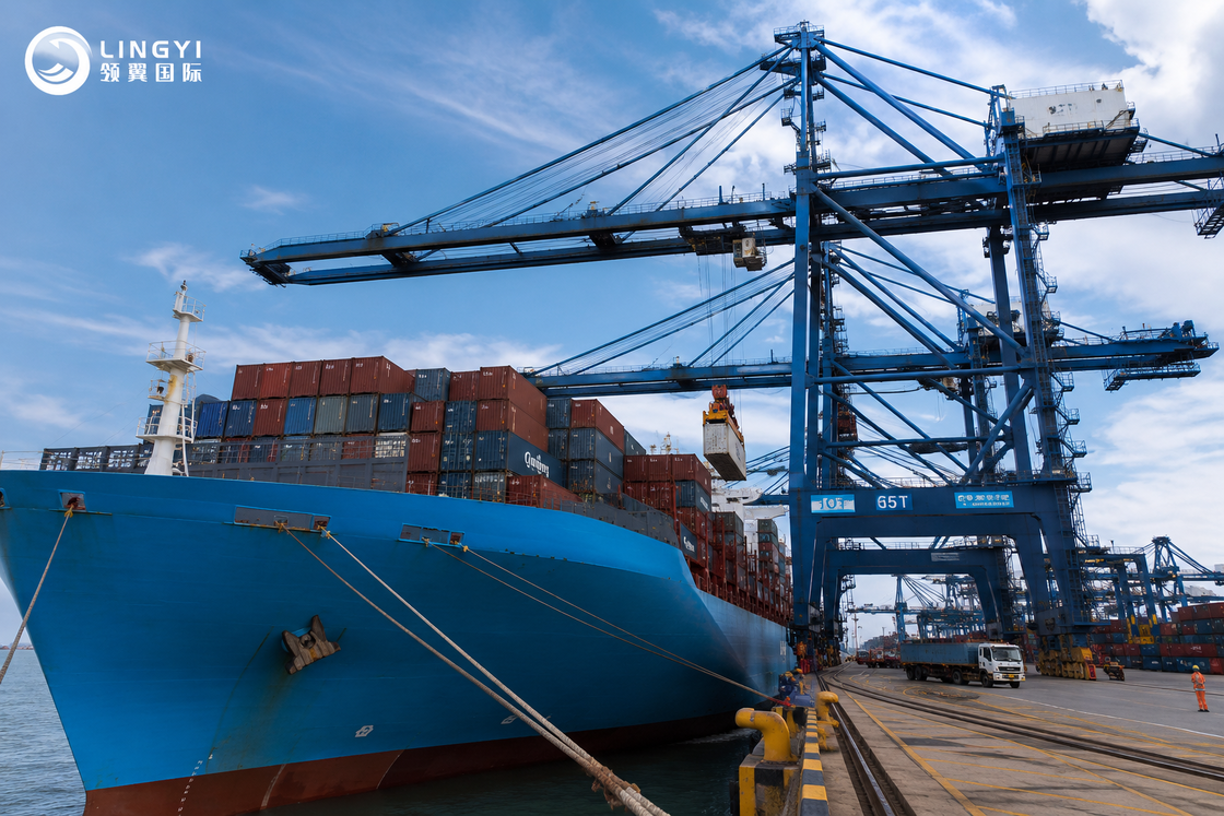 Logistics Service Economic Sea Transportation Services in 45 Days Shipment Dispatch Time 