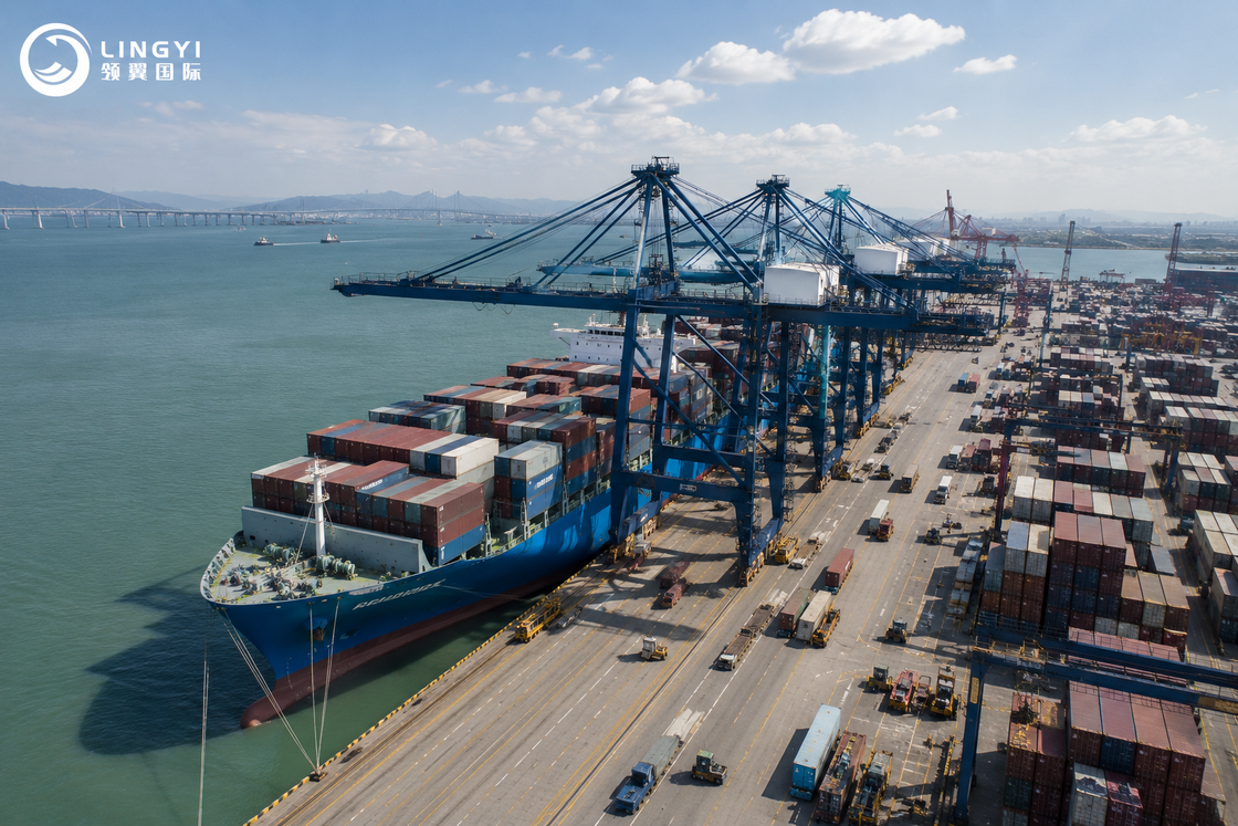 Custom Origin Storage Full Truckload Carriers with FOB EXW CIF DDU DDP Trading Term