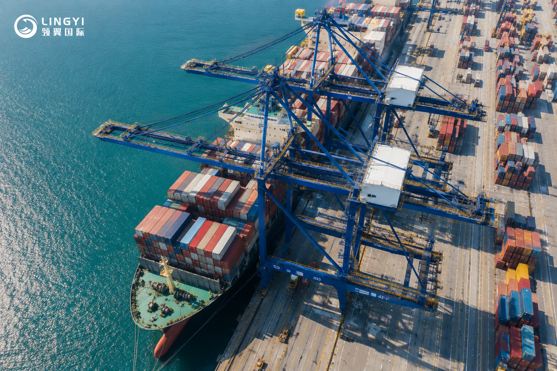 Brazil Import Logistics Solution | FCL （20GP 40GP 40HQ）Ocean Freight with DDP Service | Oversized Cargo